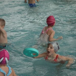 Kočičky_leden 2026