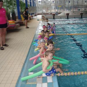 Kočičky_leden 2026