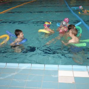 Kočičky_leden 2026