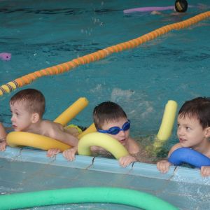 Kočičky_leden 2026