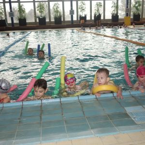 Kočičky_leden 2026