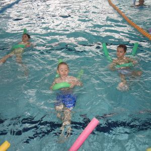 Kočičky_leden 2026