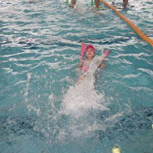 Kočičky_leden 2026