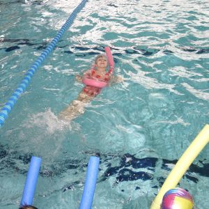 Kočičky_leden 2026