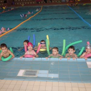 Kočičky_leden 2026