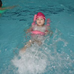 Kočičky_leden 2026