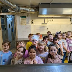 KOČIČKY_únor 2026