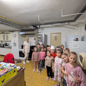 KOČIČKY_únor 2026