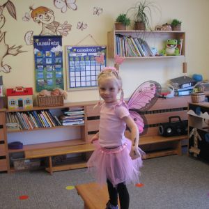 Pejsek_karneval 2026