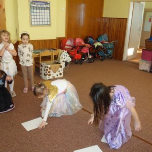 Kočičky_karneval 2026