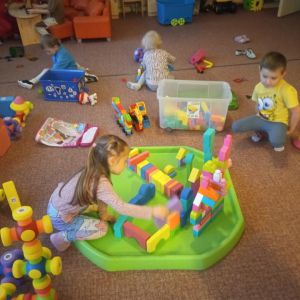 Kuřátka_únor 2026