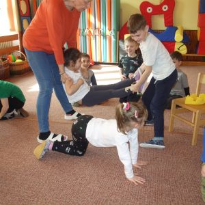 Kočičky_březen 2026