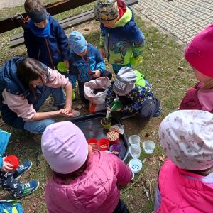 Kuřátka_březen 2026