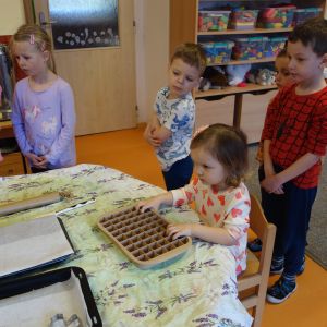 Pejskové_březen 2026