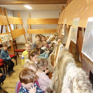 Kočičky_Výlet do Obecnice 2026