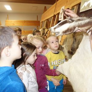 Kočičky_Výlet do Obecnice 2026