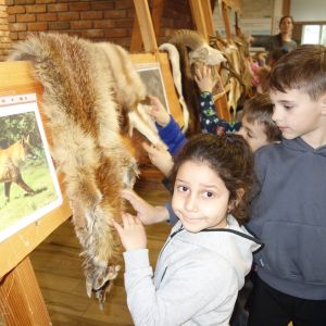 Kočičky_Výlet do Obecnice 2026