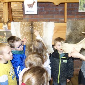 Kočičky_Výlet do Obecnice 2026