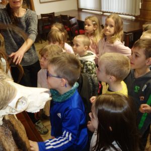 Kočičky_Výlet do Obecnice 2026