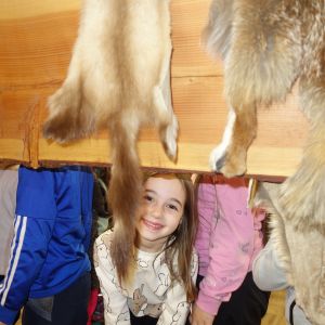 Kočičky_Výlet do Obecnice 2026