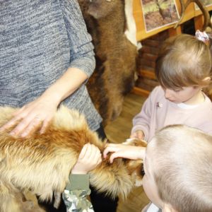 Kočičky_Výlet do Obecnice 2026