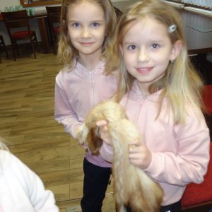 Kočičky_Výlet do Obecnice 2026