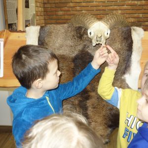 Kočičky_Výlet do Obecnice 2026