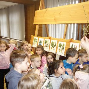 Kočičky_Výlet do Obecnice 2026