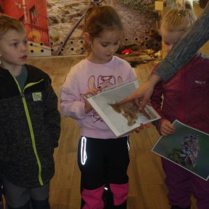 Kočičky_Výlet do Obecnice 2026