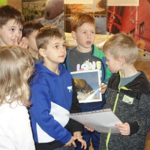 Kočičky_Výlet do Obecnice 2026