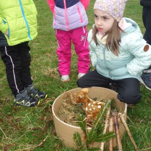 Kočičky_Výlet do Obecnice 2026