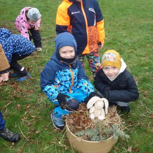Kočičky_Výlet do Obecnice 2026