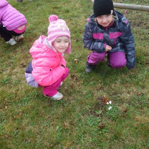 Kočičky_Výlet do Obecnice 2026