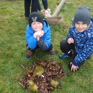 Kočičky_Výlet do Obecnice 2026