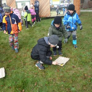 Kočičky_Výlet do Obecnice 2026