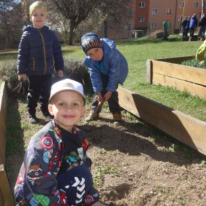 Pejsek_jarní sázení 2026