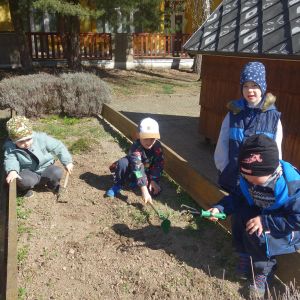 Pejsek_jarní sázení 2026