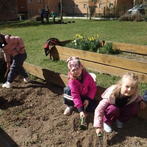 Pejsek_jarní sázení 2026