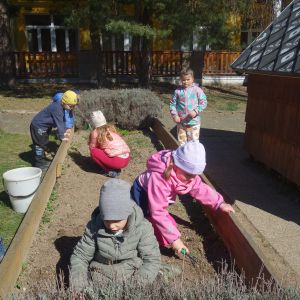 Pejsek_jarní sázení 2026