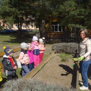 Pejsek_jarní sázení 2026