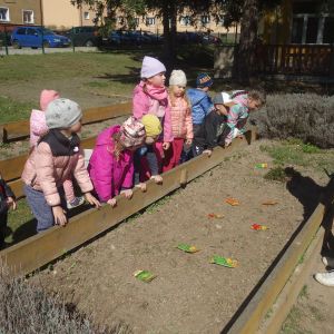 Pejsek_jarní sázení 2026