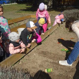 Pejsek_jarní sázení 2026