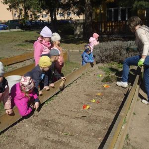 Pejsek_jarní sázení 2026