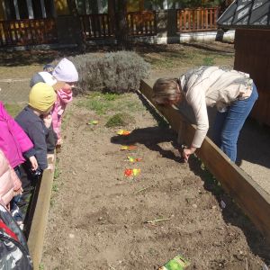 Pejsek_jarní sázení 2026