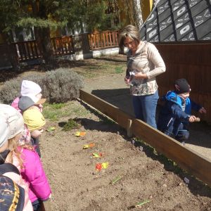 Pejsek_jarní sázení 2026