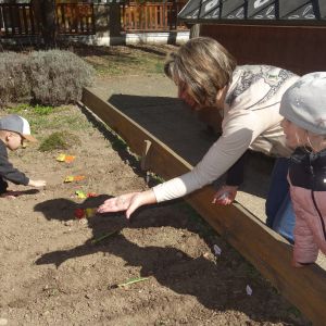 Pejsek_jarní sázení 2026