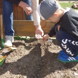 Pejsek_jarní sázení 2026