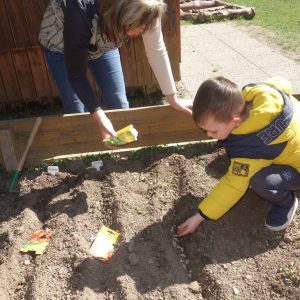 Pejsek_jarní sázení 2026