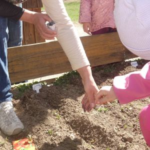 Pejsek_jarní sázení 2026