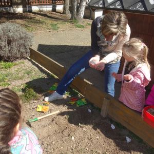 Pejsek_jarní sázení 2026